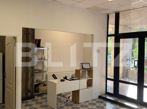 Spațiu comercial de închiriat Frumoasa - 158759SIC | BLITZ Iași | Poza7