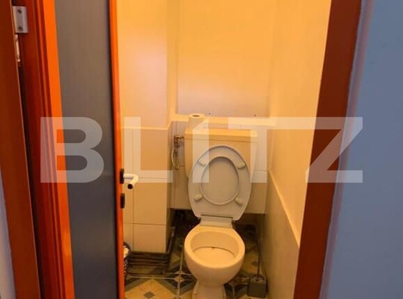 Spațiu comercial de închiriat Frumoasa - 158759SIC | BLITZ Iași | Poza8