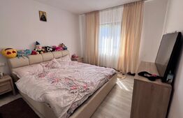 Casa plan parter, 800 mp teren, Tomesti