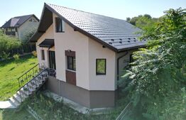 Casa plan parter, 800 mp teren, Tomesti