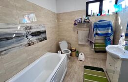 Casa plan parter, 800 mp teren, Tomesti