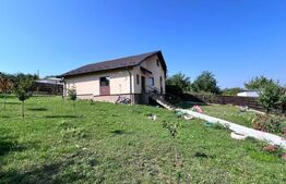 Casa plan parter, 800 mp teren, Tomesti