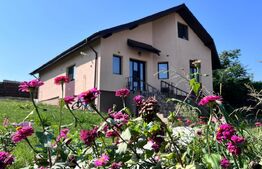 Casa plan parter, 800 mp teren, Tomesti