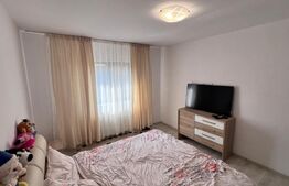 Casa plan parter, 800 mp teren, Tomesti