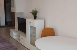 Apartament de 2 camere, 48 mp, zona Garii