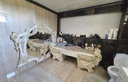 Casa cu 5 camere + garaj , situata in Valea Ursului