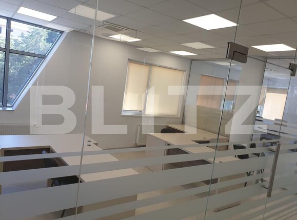 Spațiu birouri de închiriat Podu Ros - 158901SIB | BLITZ Iași | Poza2