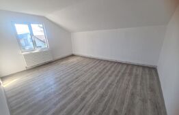 Casa, 4 dormitoare, Lunca Cetatuii