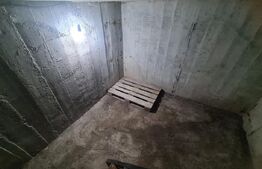 Casa, 4 dormitoare, Lunca Cetatuii