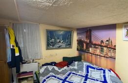 Corp de casa si 484mp teren Cucuteni (Letcani)