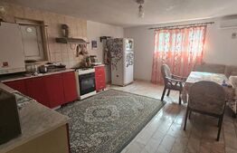 Casă spațioasă în Tătărași, ideală pentru familie sau activități comerciale