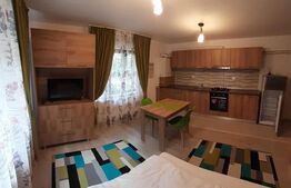 Apartament cu 1 camera, 29 mp, zona Nicolina