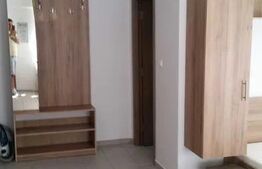 Apartament cu 1 camera, 29 mp, zona Nicolina