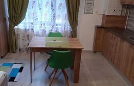 Apartament cu 1 camera, 29 mp, zona Nicolina