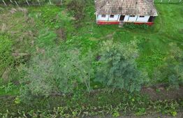 Casa batraneasca, 1000 mp teren langa Primaria Prisacani