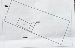 Casa batraneasca, 1000 mp teren langa Primaria Prisacani