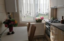 Apartament de 2 camere, 55 mp, zona Alexandru cel Bun