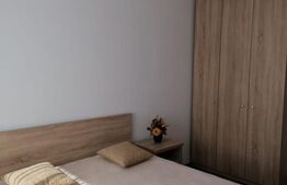 Apartament de 2 camere, 55 mp, zona Alexandru cel Bun