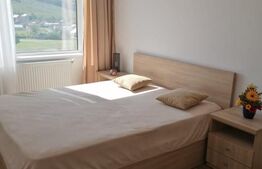 Apartament de 2 camere, 55 mp, zona Alexandru cel Bun