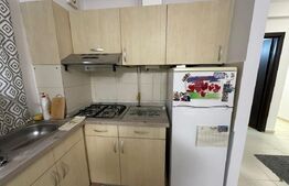 Apartament de 2 camere, gradina 50mp, zona Tatarasi