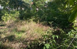 Teren Intravilan 900 mp în Zona Palas, Iași