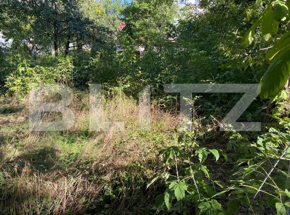 Teren de vânzare Central - 159624TV | BLITZ Iași | Poza1