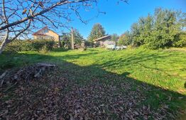 Proprietate Unică: Casă Cu Livadă, Relaxare și Investiție