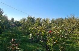 Proprietate Unică: Casă Cu Livadă, Relaxare și Investiție