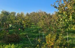 Proprietate Unică: Casă Cu Livadă, Relaxare și Investiție