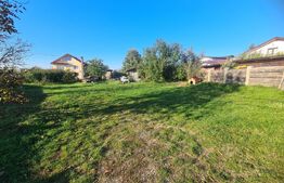 Proprietate Unică: Casă Cu Livadă, Relaxare și Investiție