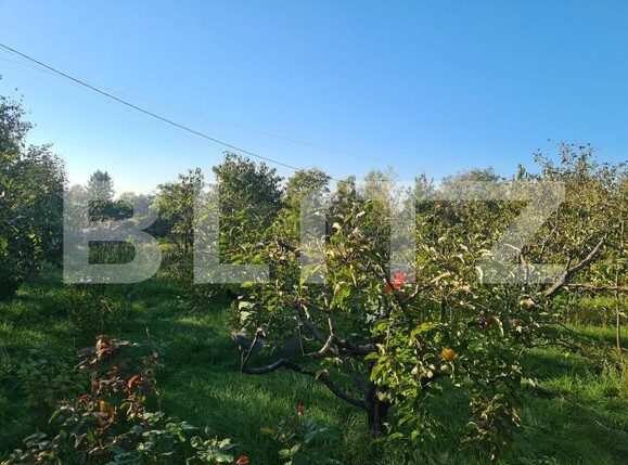 Casa de vânzare 6 camere Visani - 159872CV | BLITZ Iași | Poza5