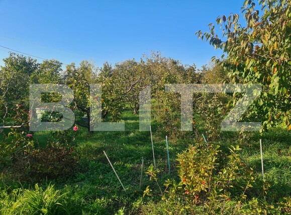 Casa de vânzare 6 camere Visani - 159872CV | BLITZ Iași | Poza4