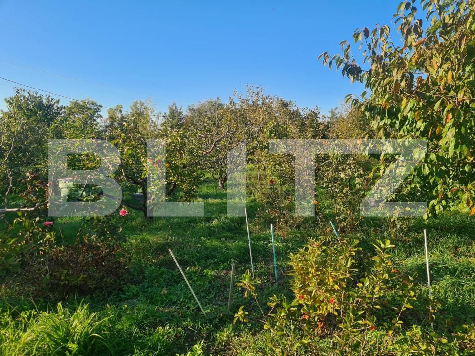 Casa de vânzare 6 camere Visani - 159872CV | BLITZ Iași | Poza4