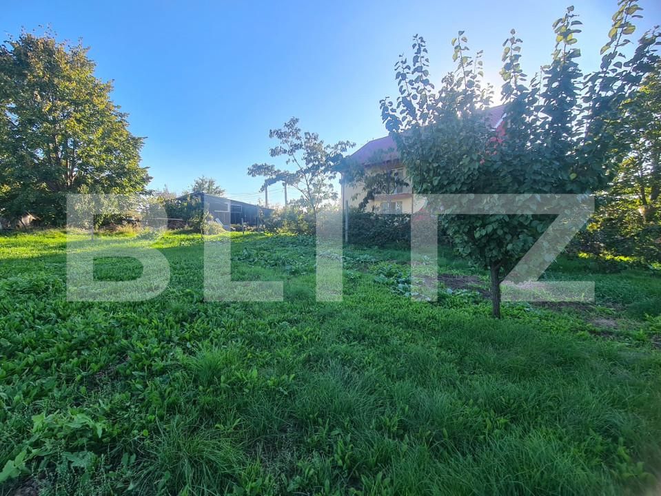 Casa de vânzare 6 camere Visani - 159872CV | BLITZ Iași | Poza3