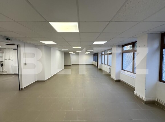 Spațiu comercial de vânzare Alexandru cel Bun - 160156SVC | BLITZ Iași | Poza1