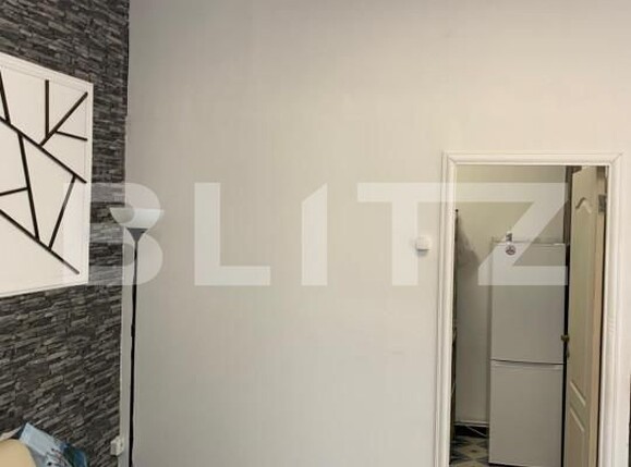 Spațiu comercial de închiriat Frumoasa - 160204SIC | BLITZ Iași | Poza2