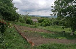 Casa cu teren 2170 mp,  44ml la sosea asfaltata, in Ciurbesti