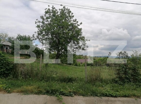 Casa de vânzare 2 camere Ciurbesti - 160241CV | BLITZ Iași | Poza4