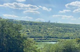 Teren padure cu vedere superba 1000mp, Aroneanu