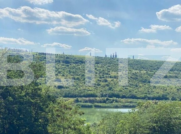 Teren de vânzare Aroneanu - 160285TV | BLITZ Iași | Poza2