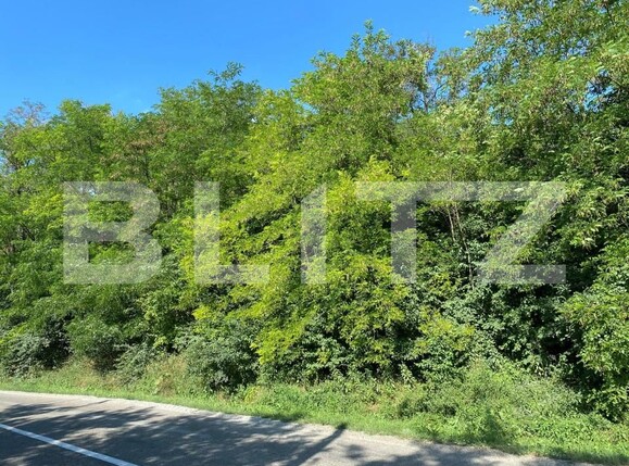 Teren de vânzare Aroneanu - 160285TV | BLITZ Iași | Poza1