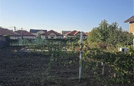 Teren intravilan 580m, toate utilitatile trase si fundatie Visan Iasi