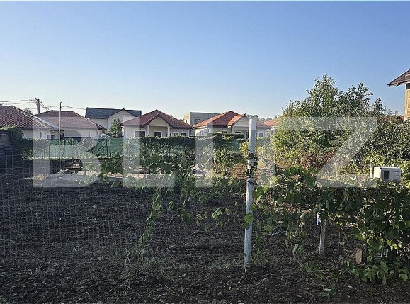 Teren de vânzare Visani - 160288TV | BLITZ Iași | Poza1