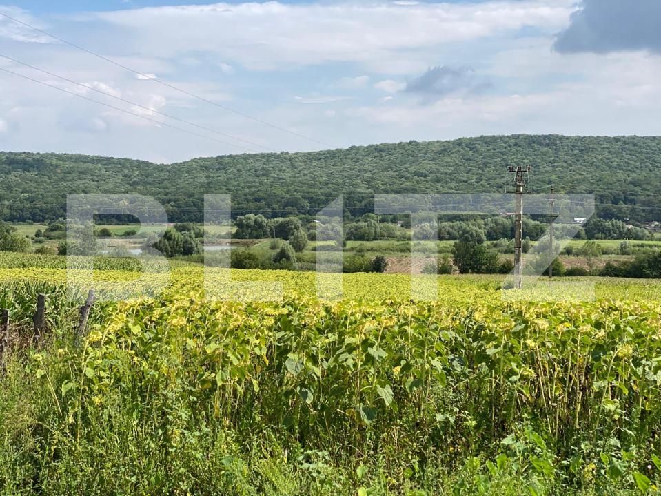 Teren de vânzare Schitu Duca - 160298TV | BLITZ Iași | Poza2