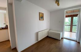 Duplex 3 camere, 160mp teren Bucium