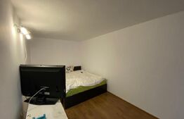 Duplex 3 camere, 160mp teren Bucium