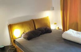 2 Camere date spre inchiriere, 45 mp, zona Pacurari