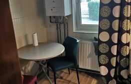 2 Camere date spre inchiriere, 45 mp, zona Pacurari