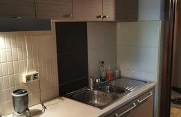 2 Camere date spre inchiriere, 45 mp, zona Pacurari