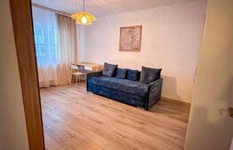 Apartament de 1 camera, 42 mp, zona Dacia